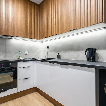 Raciborska Comfy #59 Appartement *